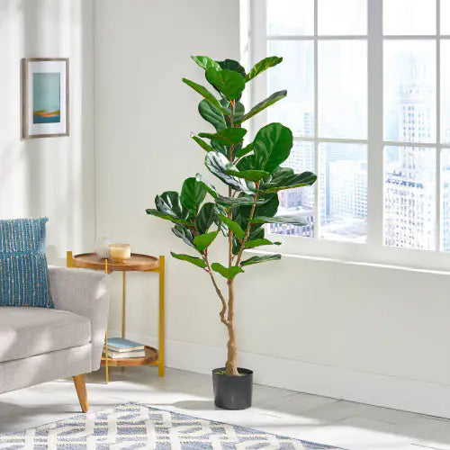 150CM Artificial Violin Leaf Fig Tree