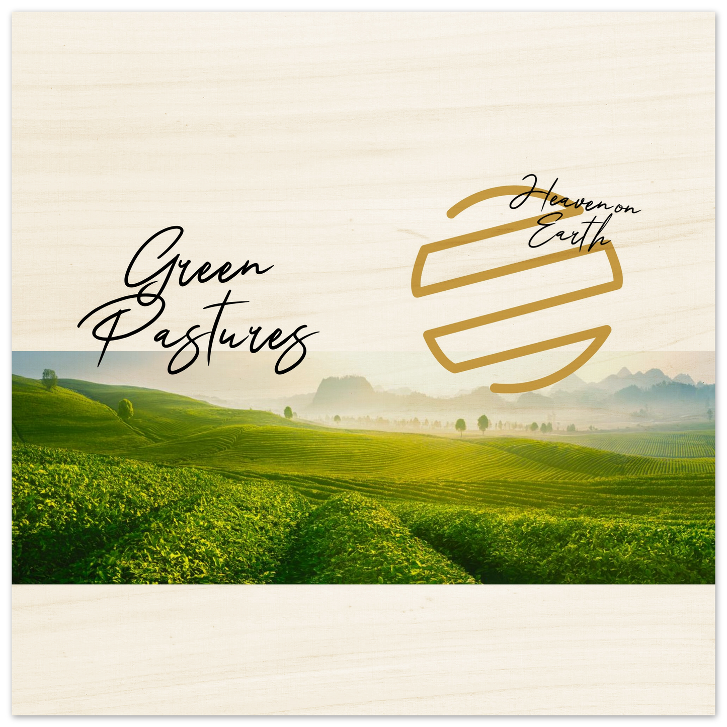 9d4a1557-8d2b-4676-8b78-85bf634f42fe