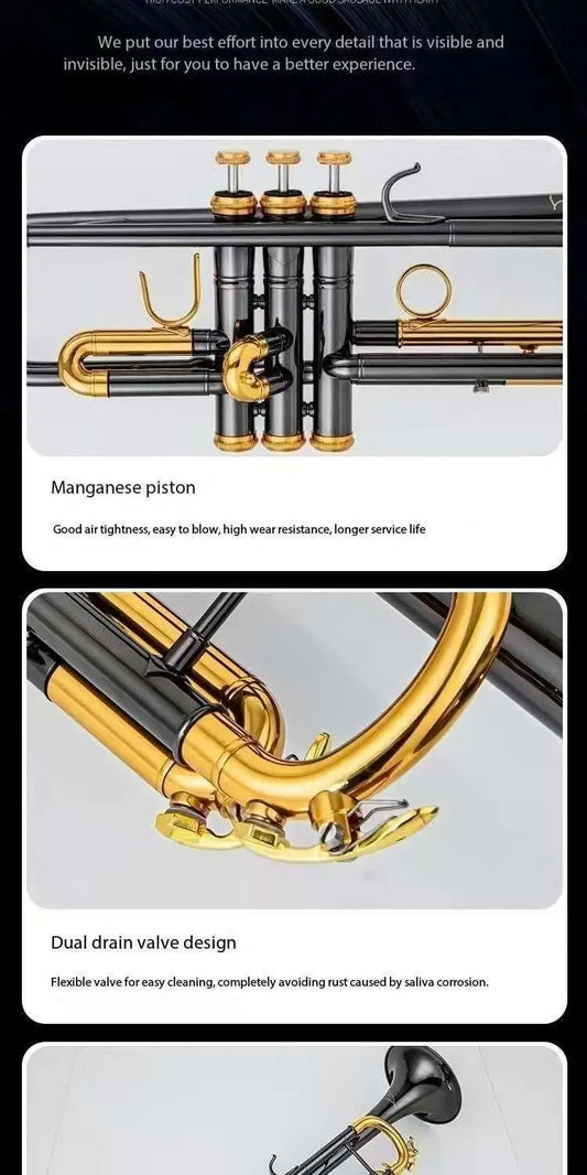 Salinte Professional Grade Beginner-Friendly BB Tone Brass Trumpet Gold Lacquer Finish - Small Size for Children's Band | Black