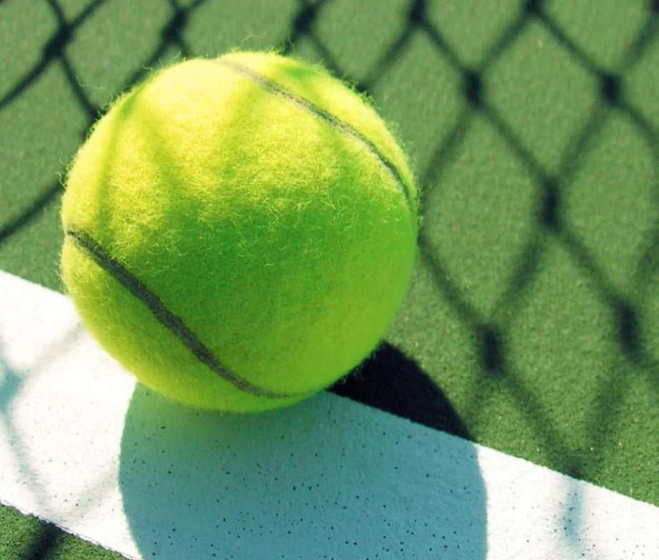Tennis Training Elastic Balls
