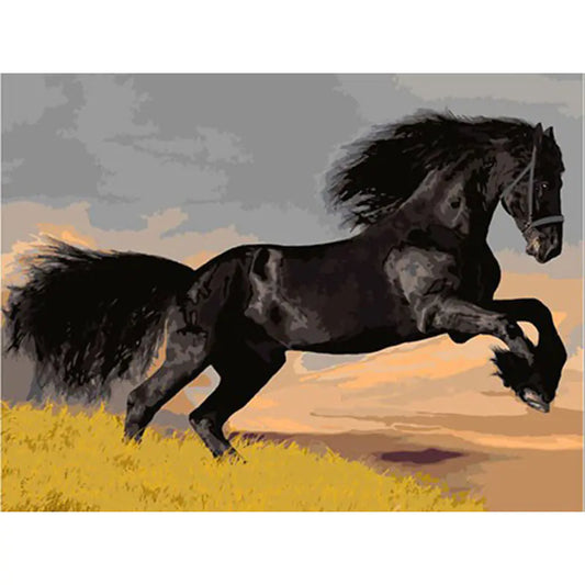 Black Horse Oil Painting