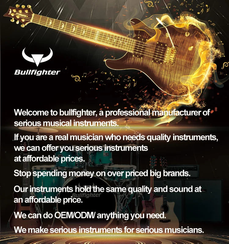 DG40 Professional 40 Watts Acoustic Guitar Amplifier/mini Guitar BT Amplifier