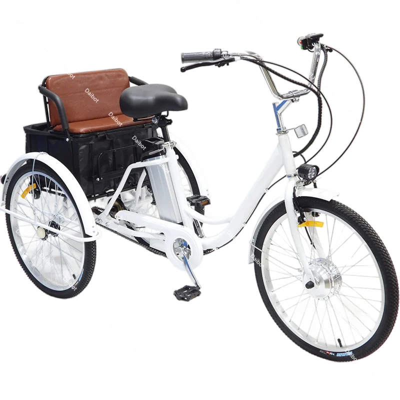 Family 3 Wheel Electric Bike Passenger With Back Seat/Pull Basket 48V Electric Cargo Bicycle For Elderly Adult Electric Tricycle