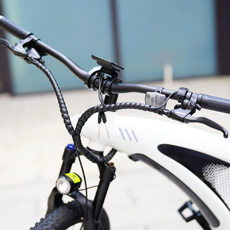 Q5 9 Speed Mountain City E-Bike