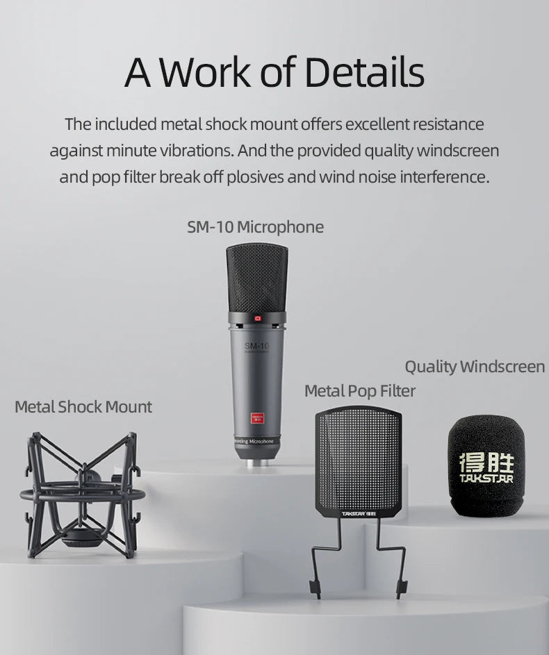 Takstar SM-10 Professional Recording Microphone Home Studio Voice Recording Equipment Condenser Microphones Wired XLR Mic
