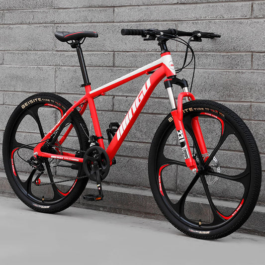Mountain Bike 24/26 Inch Disc Brake with Shock Absorption