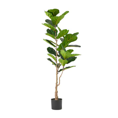 150CM Artificial Violin Leaf Fig Tree