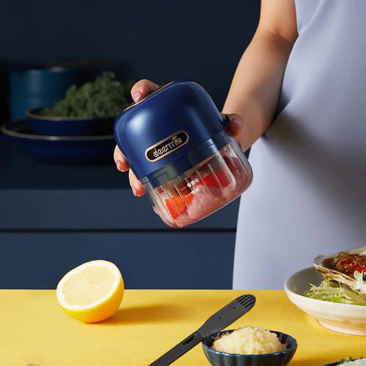 Delmar Mini Electric Garlic Chopper