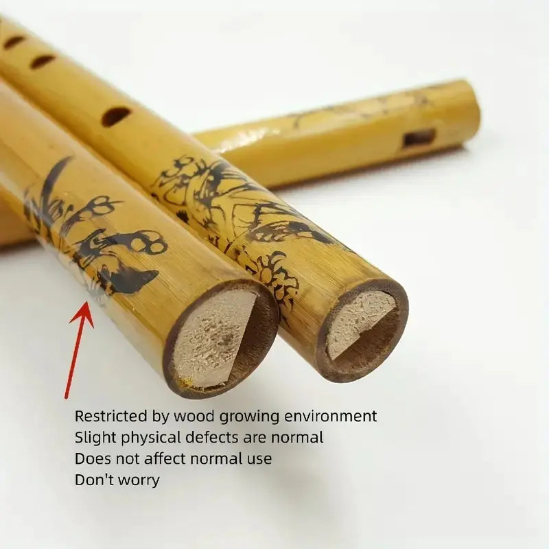 Clarinet and Piccolo for Beginners