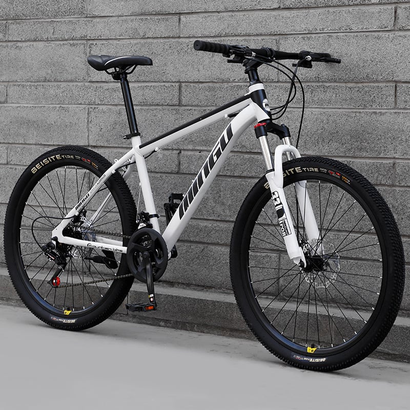 Mountain Bike 24/26 Inch Disc Brake with Shock Absorption
