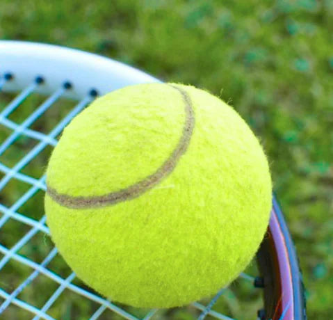 Tennis Training Elastic Balls