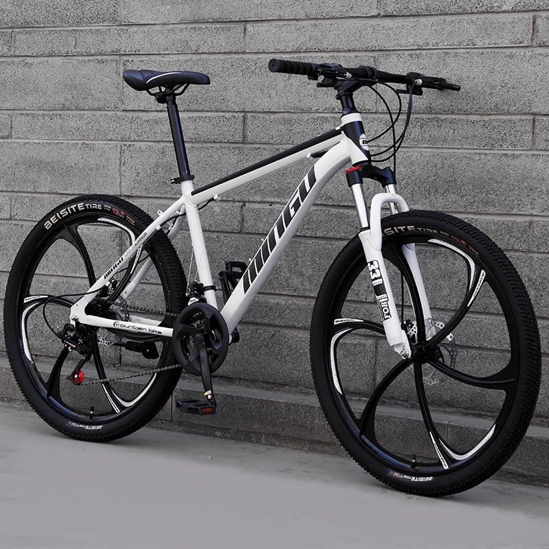Mountain Bike 24/26 Inch Disc Brake with Shock Absorption