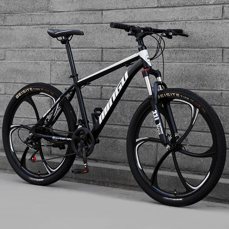 Mountain Bike 24/26 Inch Disc Brake with Shock Absorption