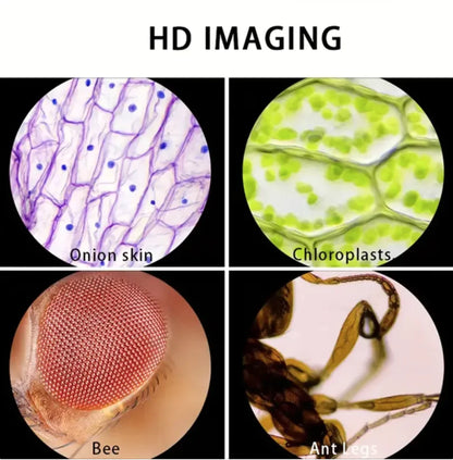 Pocket Microscope with LED for Kids