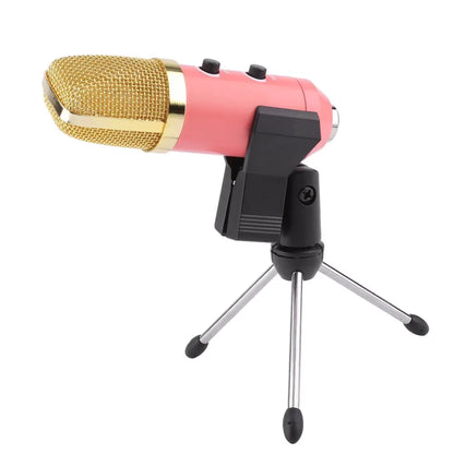 PlugNPlay Studio Mic MK-F100TL