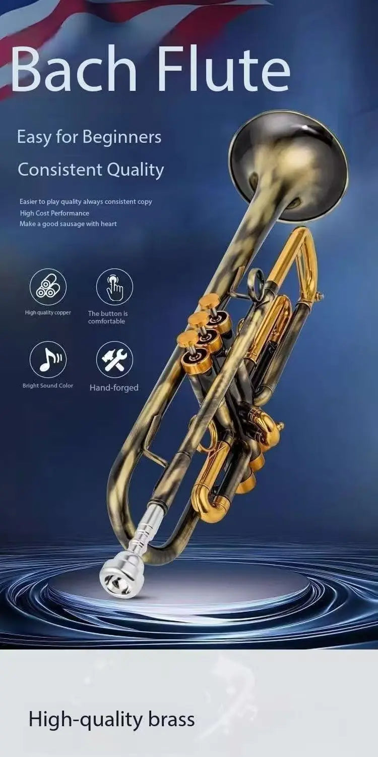 Salinte Beginner-Friendly BB Tone Brass Trumpet with Black Nickel Gold Finish  Durable Stainless Steel Pistons