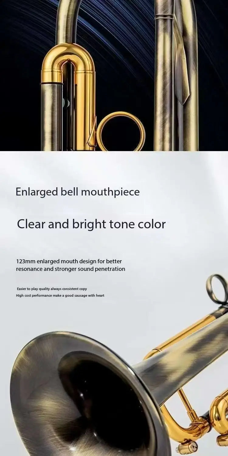 Salinte Beginner-Friendly BB Tone Brass Trumpet with Black Nickel Gold Finish  Durable Stainless Steel Pistons