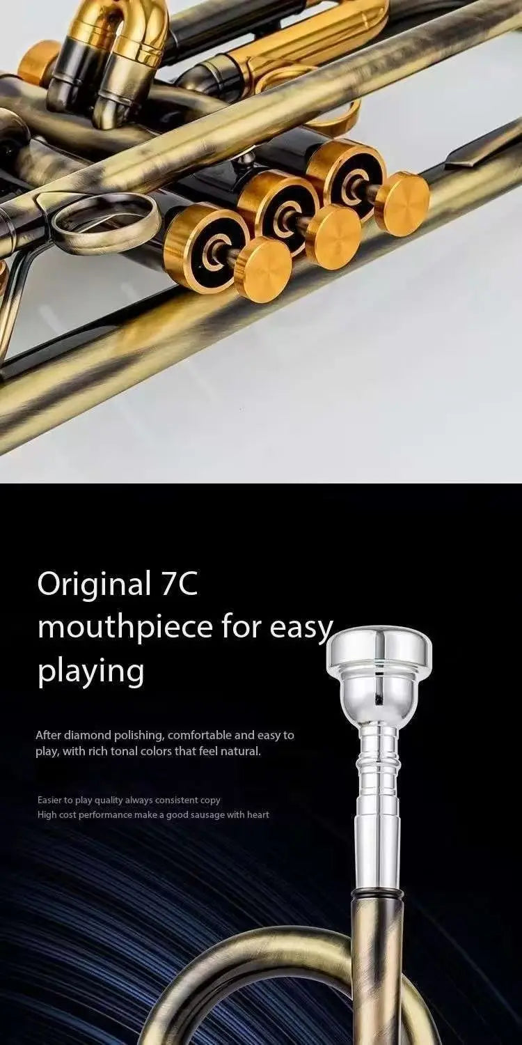 Salinte Beginner-Friendly BB Tone Brass Trumpet with Black Nickel Gold Finish  Durable Stainless Steel Pistons