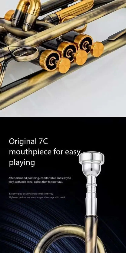 Salinte Beginner-Friendly BB Tone Brass Trumpet with Black Nickel Gold Finish  Durable Stainless Steel Pistons