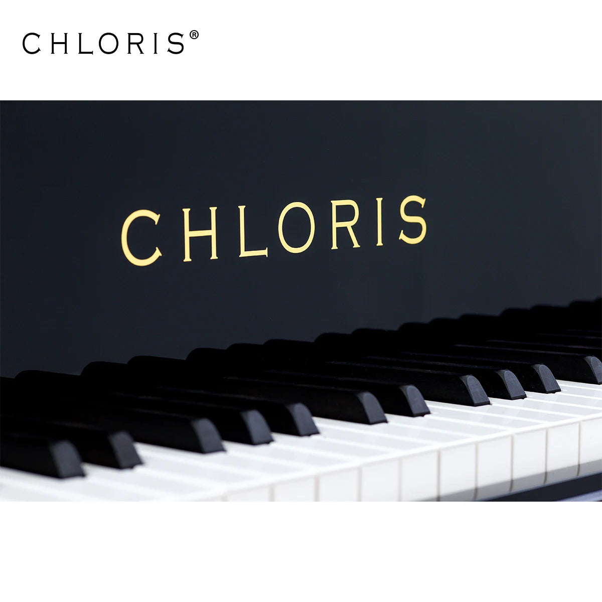 Wooden Grand Piano Shell and Piano Cabinet