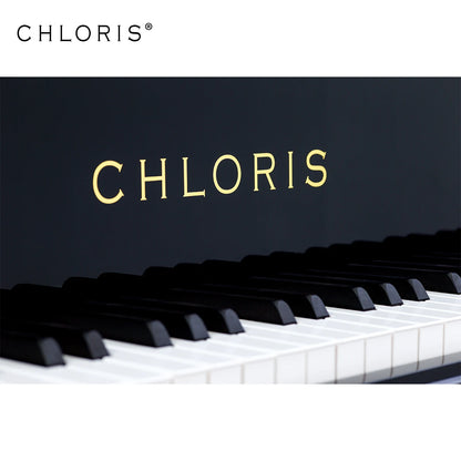 Wooden Grand Piano Shell and Piano Cabinet