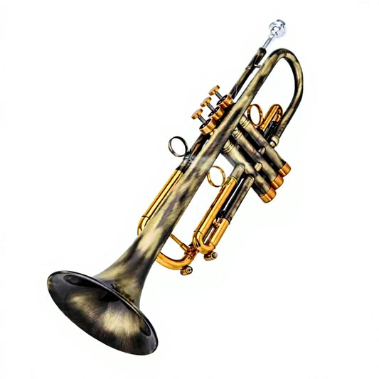 Salinte Beginner-Friendly BB Tone Brass Trumpet with Black Nickel Gold Finish  Durable Stainless Steel Pistons