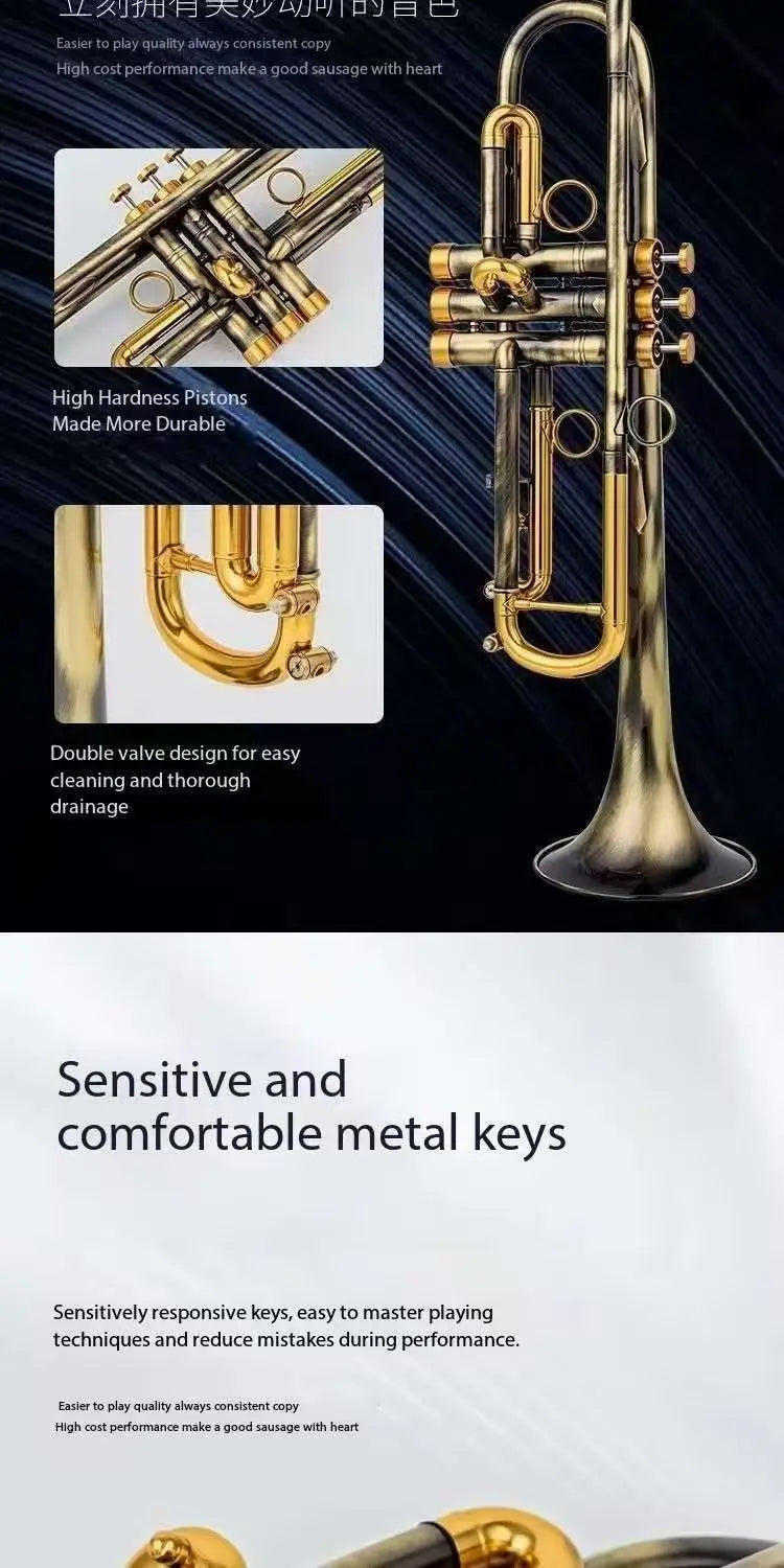 Salinte Beginner-Friendly BB Tone Brass Trumpet with Black Nickel Gold Finish  Durable Stainless Steel Pistons