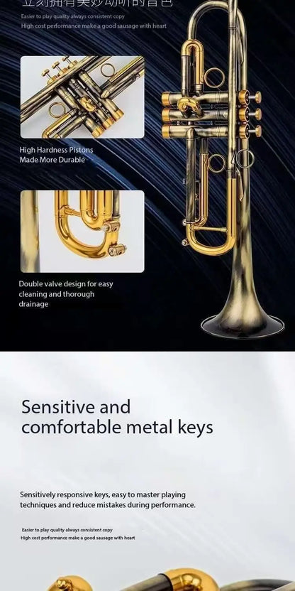 Salinte Beginner-Friendly BB Tone Brass Trumpet with Black Nickel Gold Finish  Durable Stainless Steel Pistons