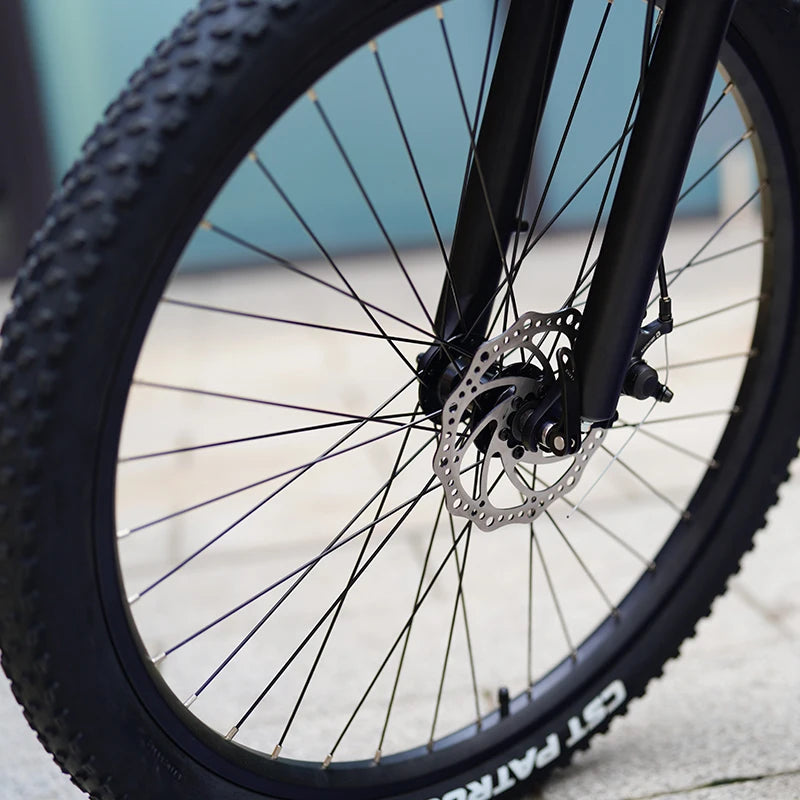 Q5 9 Speed Mountain City E-Bike