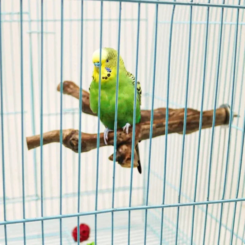 Birds Wild Grape Wood Standing Stick