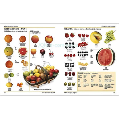 DK Japanese-English Bilingual Visual Graphic Dictionary