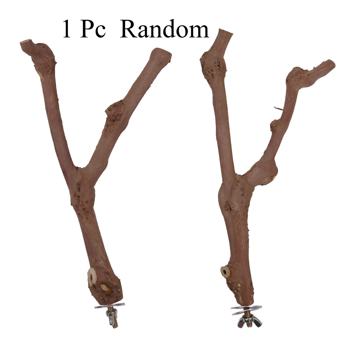 Birds Wild Grape Wood Standing Stick