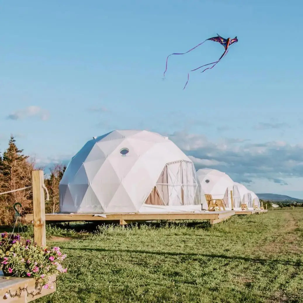 Geodesic Dome Manor Greenhouse Tent, Glamping Round Tent , Starry Sky Luxury Hotel Dome