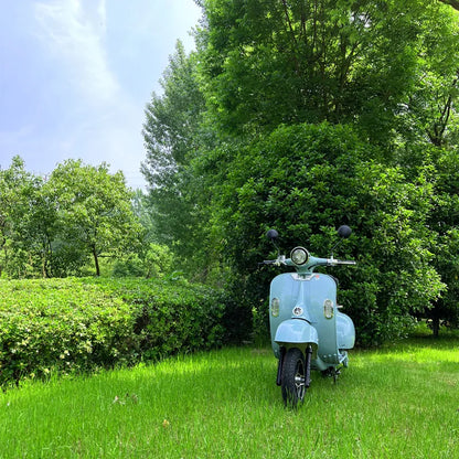 Vintage Electric Scooter Bike – 1200W High Speed Adult Electric Moped with 60V Battery for City Commuting