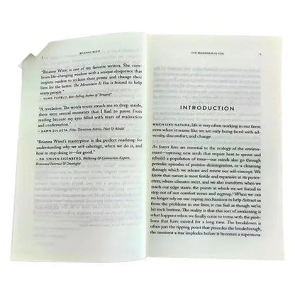 The Mountain Is You: Transforming Self-Sabotage Into Self-mastery English Books Birthday Gifts