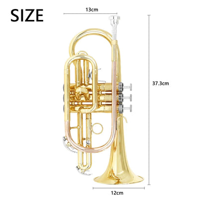 SLADE Bb Cornet Professional Brass body Gold lacquer Phosphor copper leadpipe Tone Cornet with Storage Box Accessories ﻿