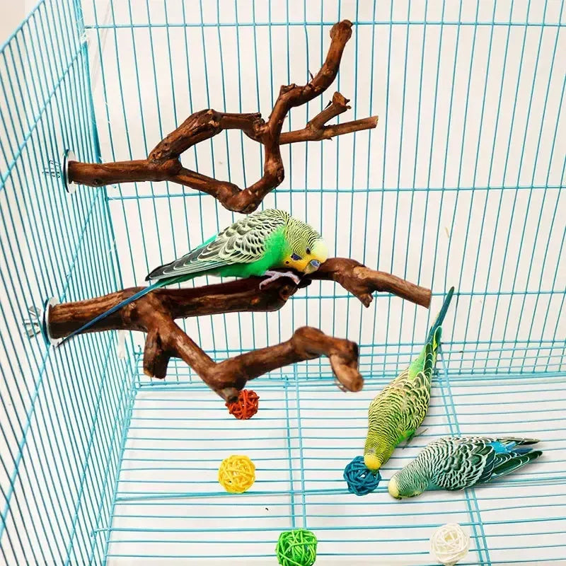 Birds Wild Grape Wood Standing Stick