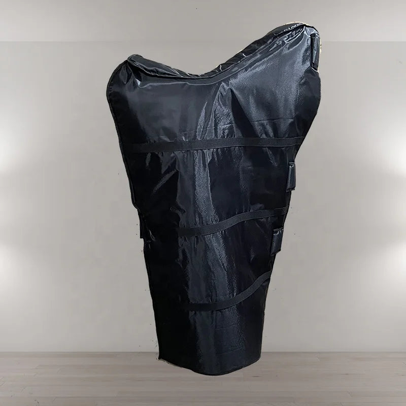 Professional Arpa 38-String Lever Irish Harp for Beginners