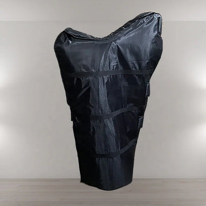 Professional Arpa 38-String Lever Irish Harp for Beginners