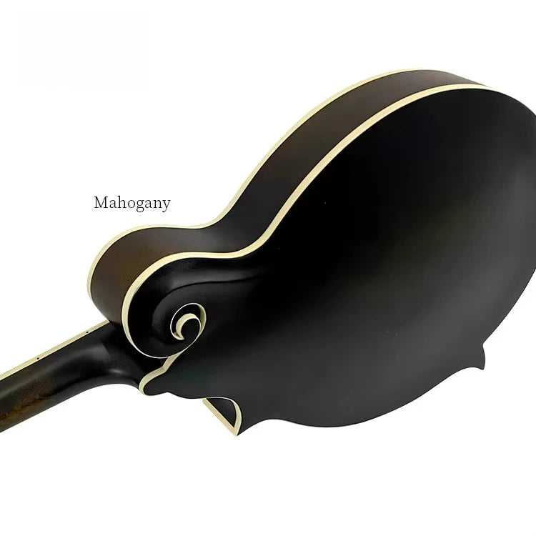 Professional F-style Solid Body Matte Finish Mandolin