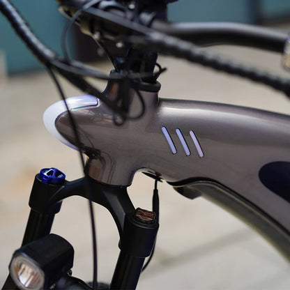 Q5 9 Speed Mountain City E-Bike