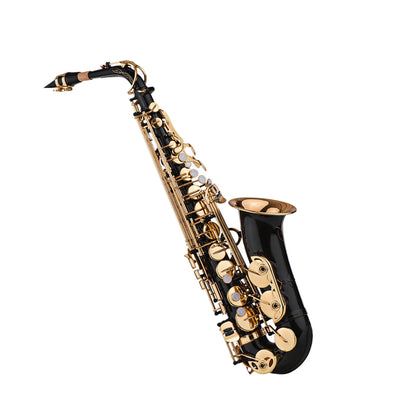 Brass Eb Alto Saxophone Sax Lacquered Gold 82Z Key Type Woodwind Instrument with Padded Carry Case Gloves Cleaning Cloth Brush S