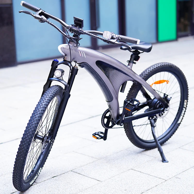 Q5 9 Speed Mountain City E-Bike