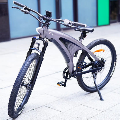 Q5 9 Speed Mountain City E-Bike
