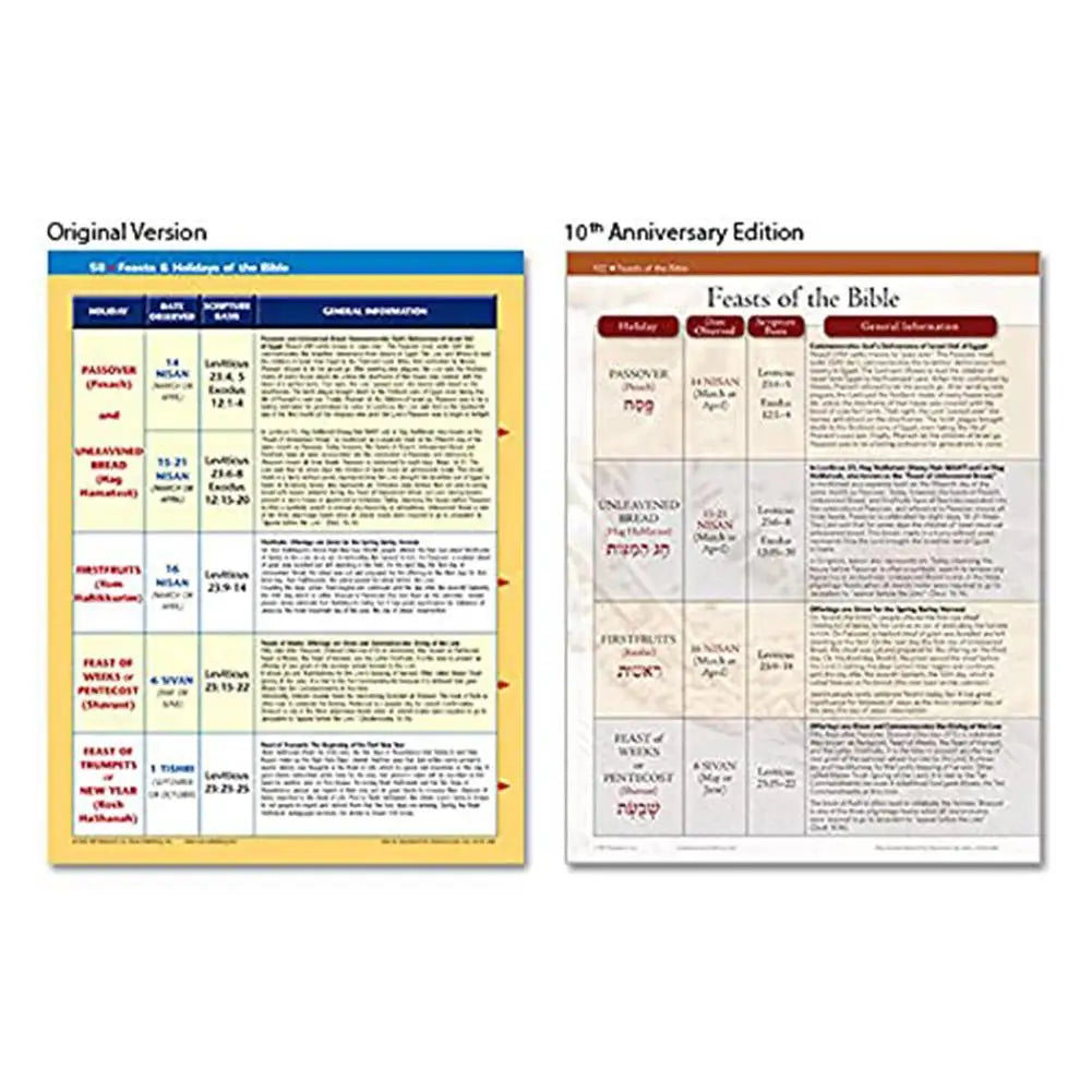 Bible Charts, Maps & Time Lines 10th Anniversary Edition Pilgrimage Guide Book