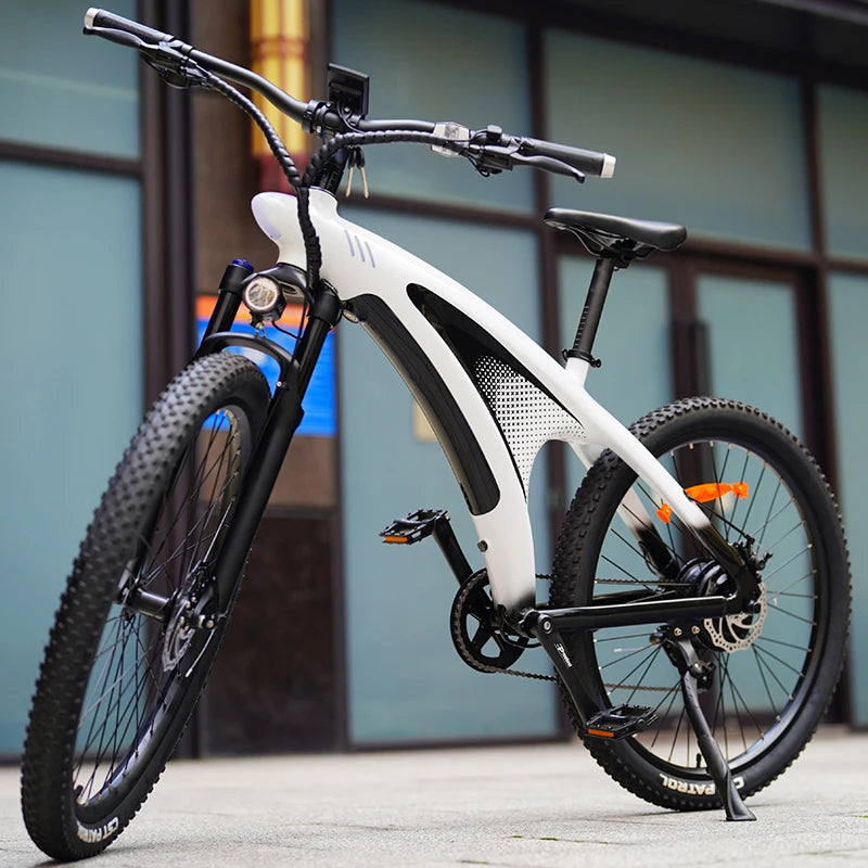 Q5 9 Speed Mountain City E-Bike