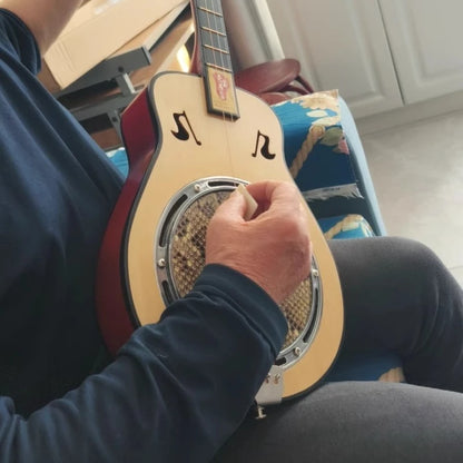 3 Strings Wood Sanxian Whole Tone Semitone  - Chinese Traditional Stringed Instruments /Ethnic Plucked Playing QinQin for Beginner