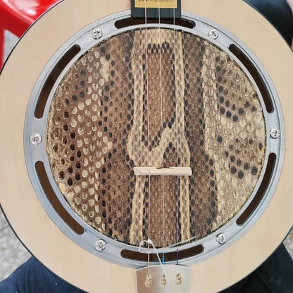 3 Strings Wood Sanxian Whole Tone Semitone  - Chinese Traditional Stringed Instruments /Ethnic Plucked Playing QinQin for Beginner