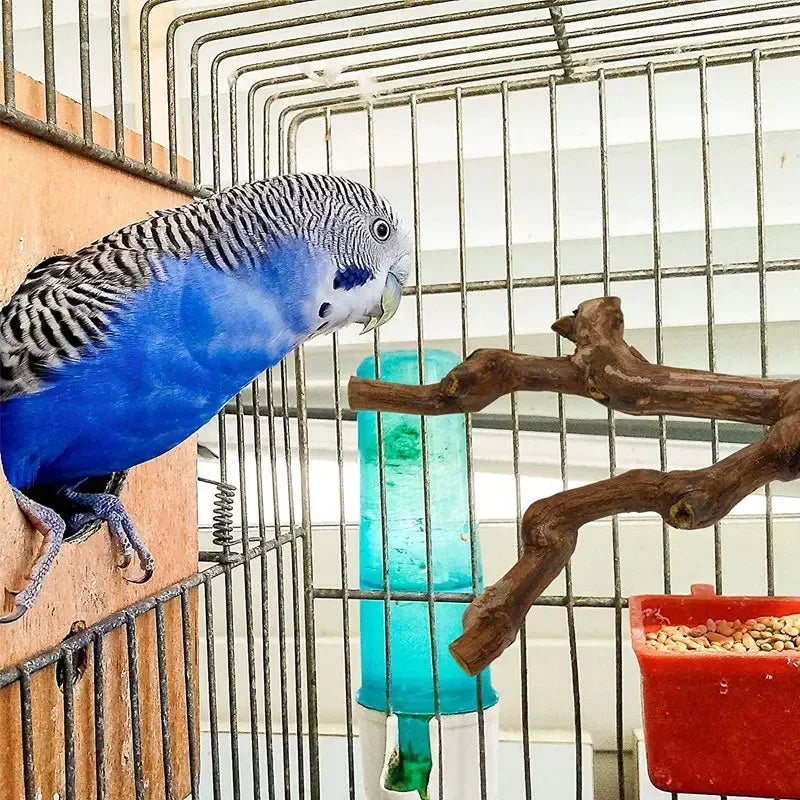 Birds Wild Grape Wood Standing Stick