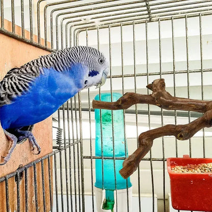 Birds Wild Grape Wood Standing Stick